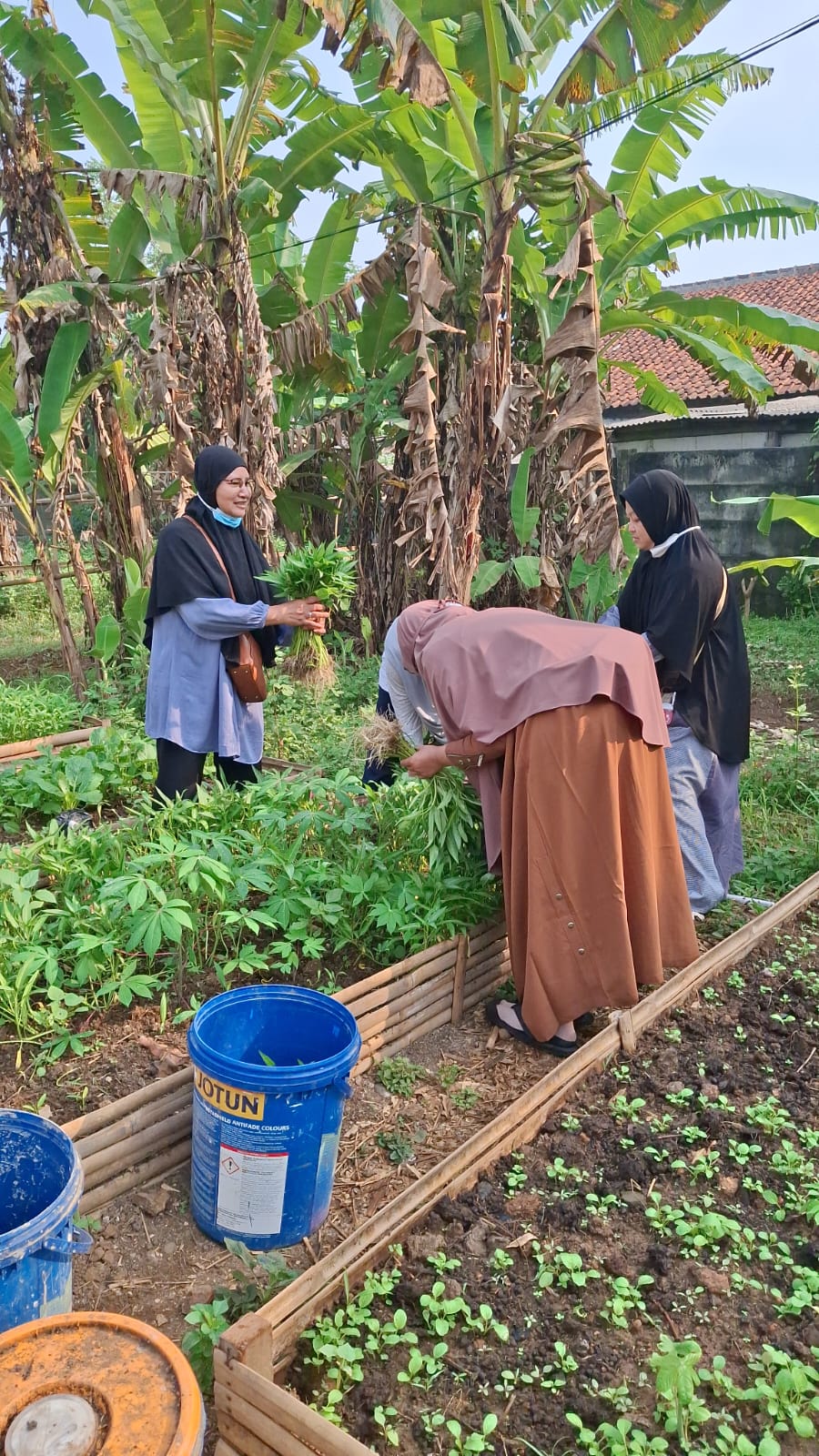 Edukasi pembenah tanah