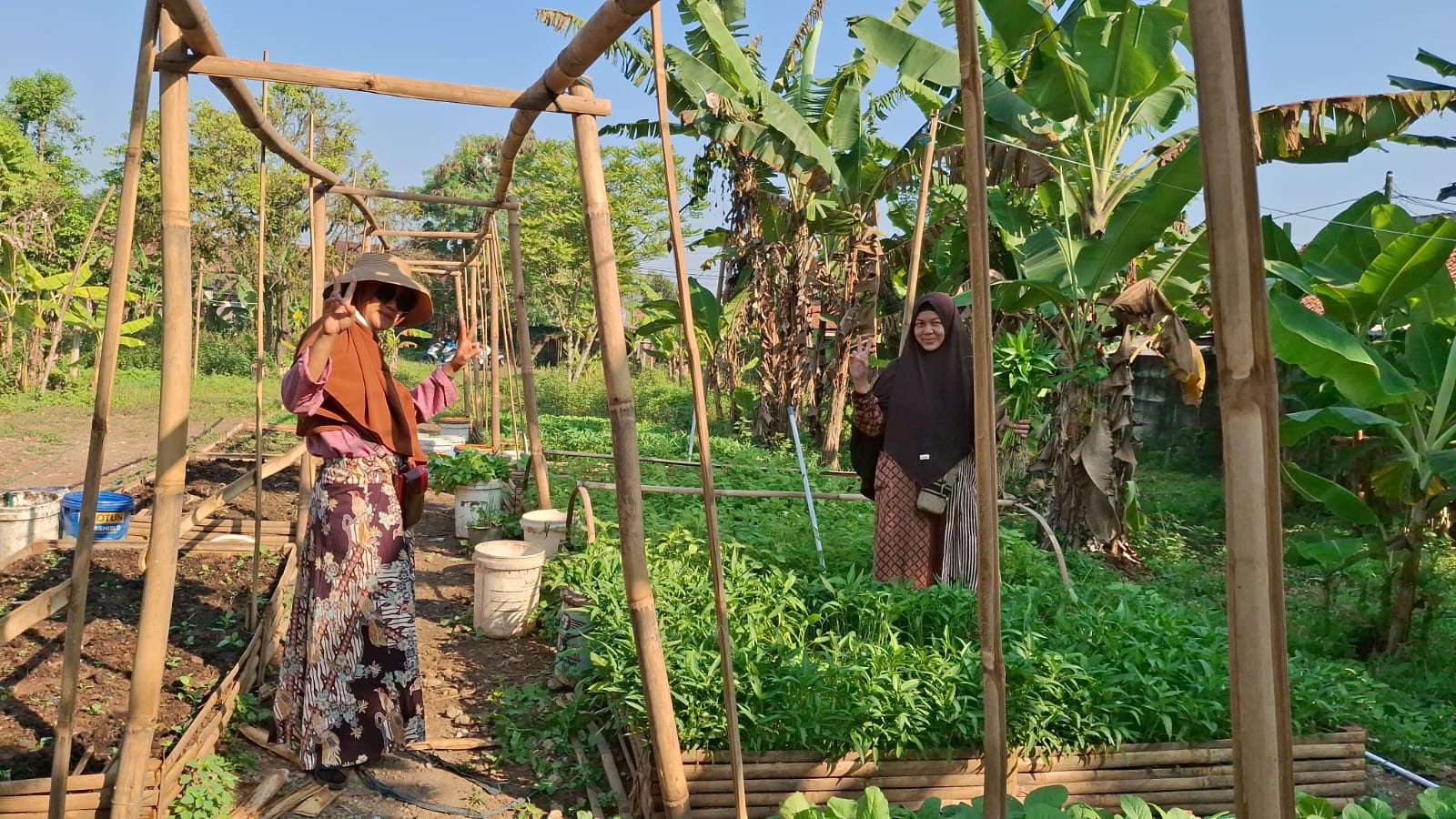 Anak-anak belajar pertanian